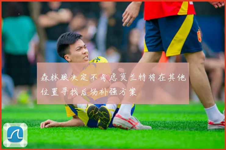 森林狼决定不考虑莫兰特将在其他位置寻找后场补强方案
