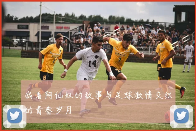 我看阿仙奴的故事与足球激情交织的青春岁月
